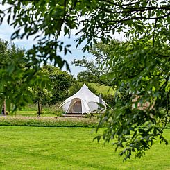 «Oak Lotus Belle Tent»