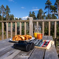 Vakantiehuis Birch Bothy