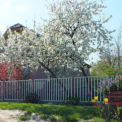 Vakantiehuis in Döbrököz mit privatem Pool