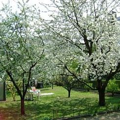 Vakantiehuis Haus in Budapest