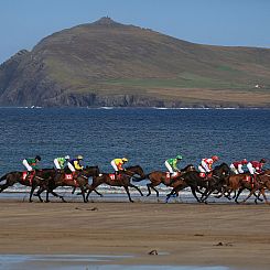 Vakantiehuis Dingle Bay View (TR2)