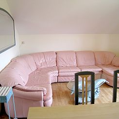 Les Orchydées 2