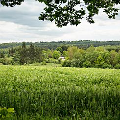 Vakantiehuisje in Rienne