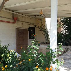 Appartement Casal del Borgo 1
