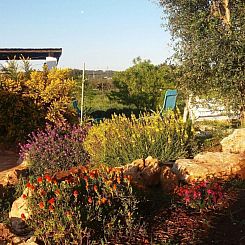 Appartement Trullo 'Vallegna' mit privatem Garten und Grill
