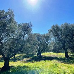 Vrijstaande woning in Ceglia Messapica