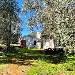 Vrijstaande woning in Ceglia Messapica