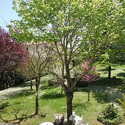 Appartement Wohnung mit Privatparkplatz