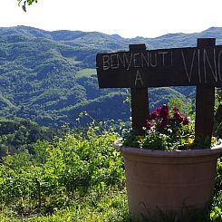 Vakantiehuis in Castel del Rio