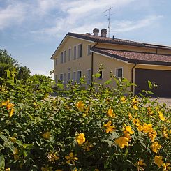 Appartement wohnung "Lavanda" mit Privatparkplatz