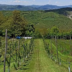 Vakantiehuisje in Casaselvatica