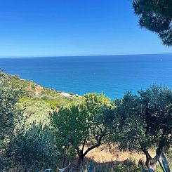 Vakantiehuis Villa Antica Pineta