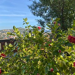 Appartement in Imperia