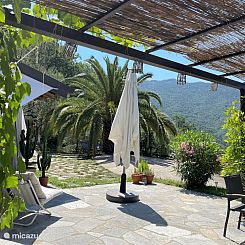 Casa della palma