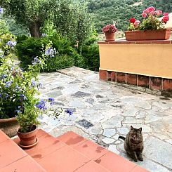 Appartement Casa Belvedere