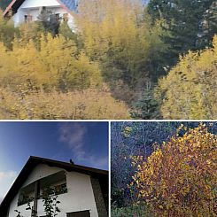 Vakantiehuis Natur und Entspannung, Villa im Park