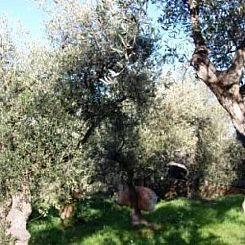 Vrijstaande woning in Diano Moltedo