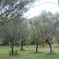 Vakantiehuis Ferienvilla "Melles" mit privatem Pool