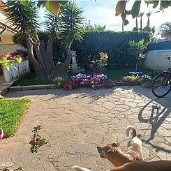 Mare dei Cani Felici