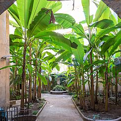 Appartement Luminosa Vittoria