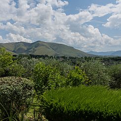 Vakantiehuis Olive Grove Sabina
