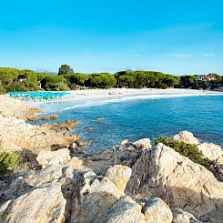 Appartement Cala Viola