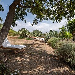 Vakantiehuis  del Mare dipinto