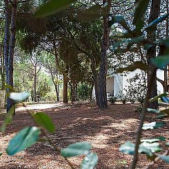 Appartement Villa Alba 2D, Nähe Strand