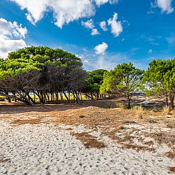 Appartement La Caletta Zentral