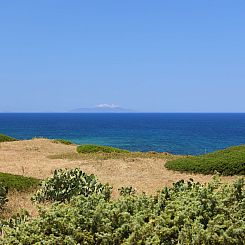 Appartement Ananas 1 C