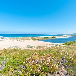 Vakantiehuis Sa Fiorida Milli