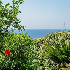 Vakantiehuis Villa Conchiglia