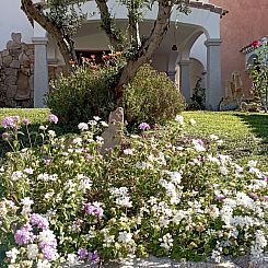 Vakantiehuis Haus Le Rose