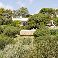 Vakantiehuis Villa Patrizia