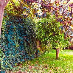 Vakantiehuis Villa mit Wasserblick