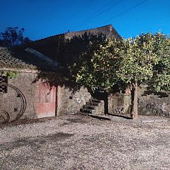 Appartement Le Palme in linera