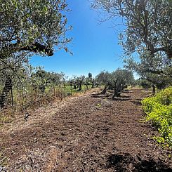 Appartement in Castelvetrano