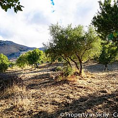 Kavel in Castelbuono