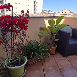Appartement Wohnung mit Terrasse