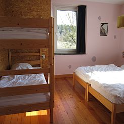 A la lisière de la forêt