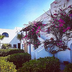 Appartement Stammes-Suite