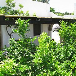 Appartement Wohnung 'Alba 8' mit Privatparkplatz