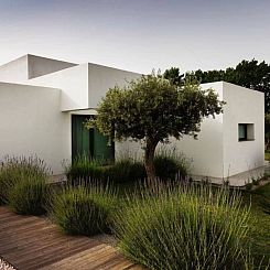 Vakantiehuis Mare e Dune
