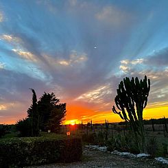 Vrijstaande woning in Noto