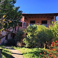 Appartement Flache Zeder