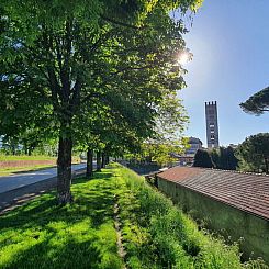 Appartement Casina Bella Di Lucca