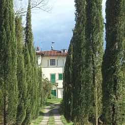 Appartement 'Yellow House