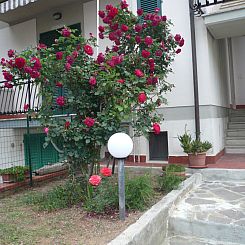 Appartement Wohnung mit Garten, Grill und Terrasse