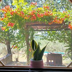 Vakantiehuis in Cavriglia