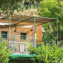 Appartement Wohnung in Palaia mit Großem Garten